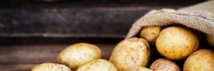 First GMO modified, PVY resistant potato goes on sale in 2019 in Argentina